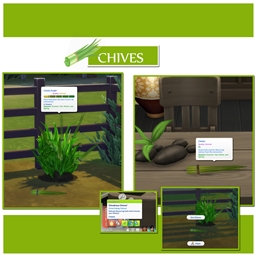 Harvestable Chives logo