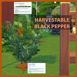 Harvestable Black Pepper logo