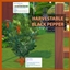 Harvestable Black Pepper logo
