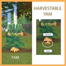 Harvestable Yam logo