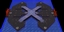 Lunar Axis of Chaos logo