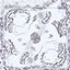 (2) Winter Storm logo