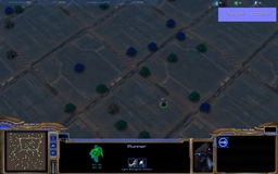 Drone Dash