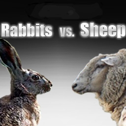 Rabbits vs Sheep