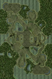 Green Canopy