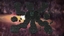 Double Deal logo