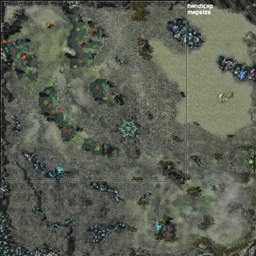 Probes Vs Templars