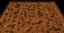 Zergling Tag