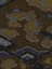 Zerg Infestation BETA