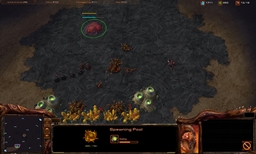 Zerg Colonization