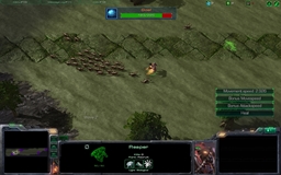 ReaperXZergling Race