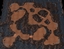 Overcast logo