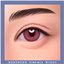 Eye Presets Kit logo