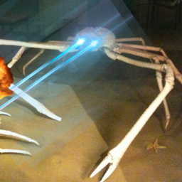 Doggiefiend's RPG Pack