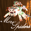 MoreSpiders - Uncommon spiders logo
