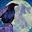 The Raven Moon logo