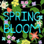 SpringBloom logo