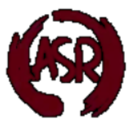 ASR Projekt project image
