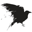 Ravenfabric logo