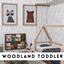 Woodland Toddler Bedroom