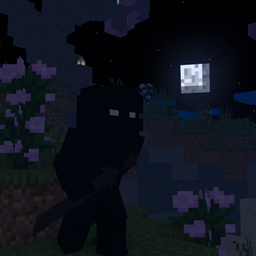 Ninja Craft [Forge] logo