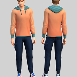 Theo Set logo
