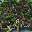 Myro's Adventure Pack logo