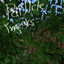 Particle Tweaks logo
