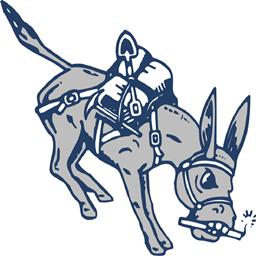 CSM Pack logo
