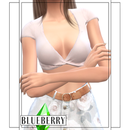 Blueberry - Twisted Crop Tee logo