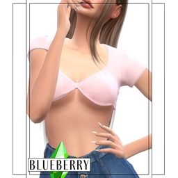 Blueberry - Twisted Super Crop Tee logo
