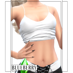 Blueberry - The Favorite Top logo