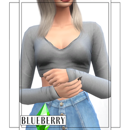 Blueberry - Ivy Long Sleeve Top logo
