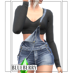 Blueberry - Ivy Overalls with Long Sleeve Top logo