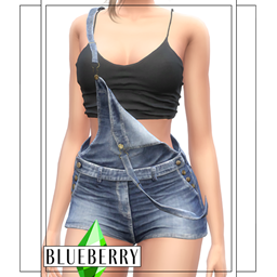 Blueberry - Ivy Overalls with Crop Top logo