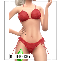 Blueberry - Splishsplash Bikini logo