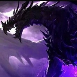 Draco Paradox logo