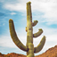Oblicraft Season 3 logo