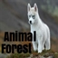 Animal Forest logo
