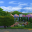 Magnolia Sanctuary