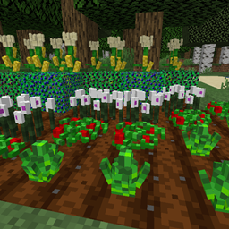 Vanilla Extensions project image