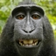 MonkeyCraft! logo