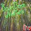 BamBoo_Nations logo