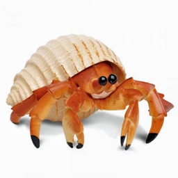 Hermitcrab