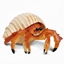 Hermitcrab logo