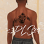 Tiger Back Tattoo logo