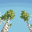 MC refreshed logo
