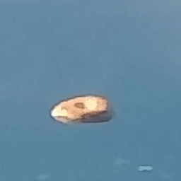 Cursed Command 2 - Gallery - Minecraft Modpacks - CurseForge