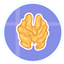 Milkman of Walnuts logo