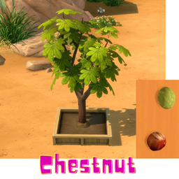 Chestnut (Harvestable)